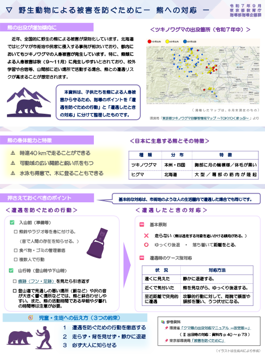 熊への対応